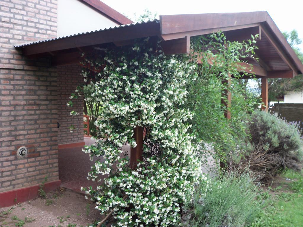 Cabanas El Dominador La Falda Εξωτερικό φωτογραφία